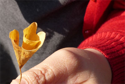 c0152779_13472513.jpg
