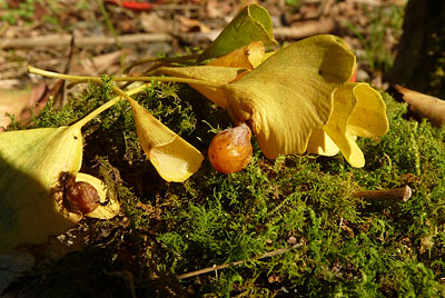 c0152779_13515835.jpg