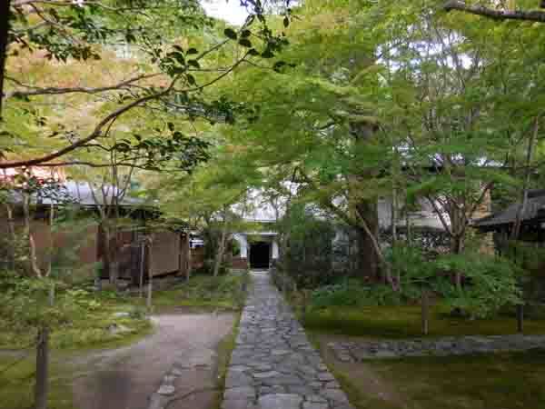 a0045381_15002880.jpg