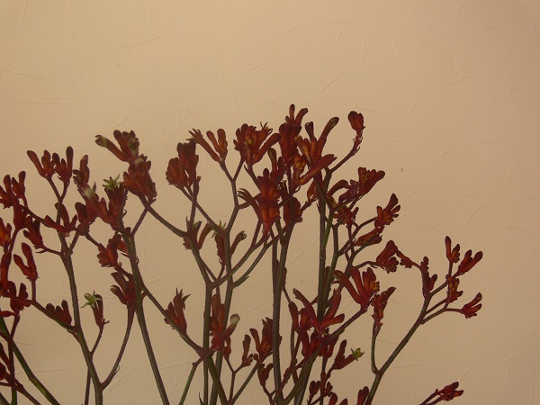 e0140986_1251786.jpg