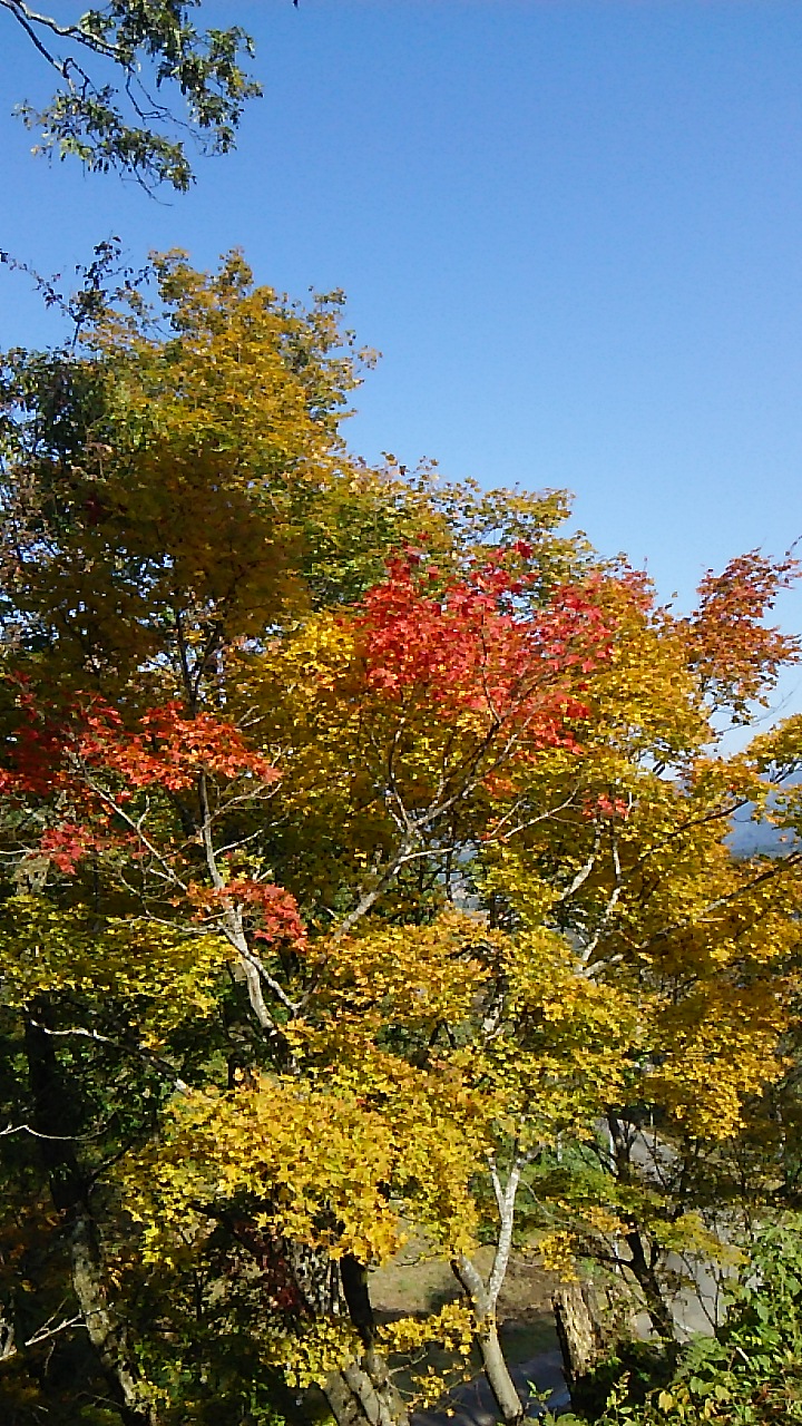 b0091187_23484144.jpg