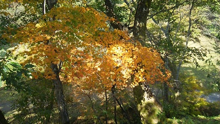 b0091187_23485580.jpg