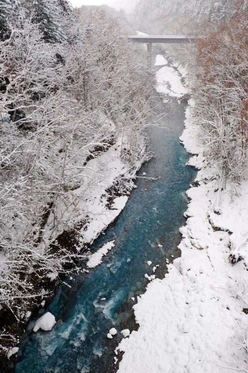f0294190_9523256.jpg