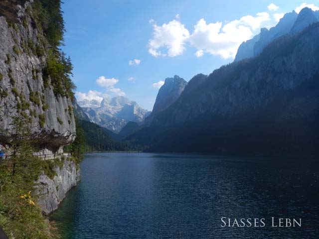 e0088895_23233753.jpg