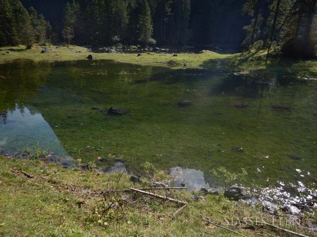 e0088895_23271339.jpg