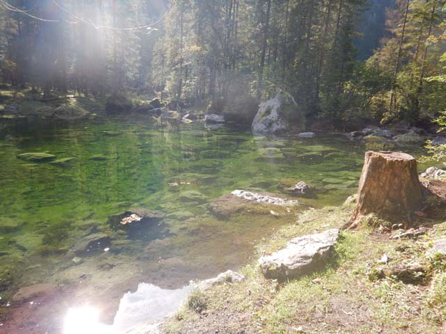 e0088895_23275821.jpg