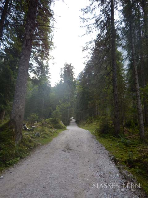 e0088895_23284084.jpg
