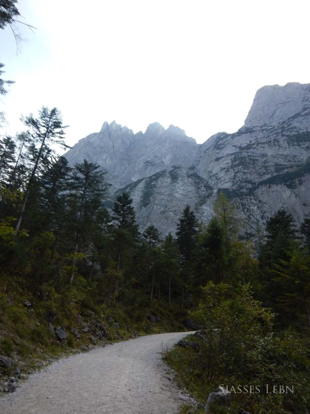 e0088895_2330597.jpg