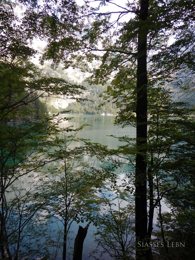e0088895_23332675.jpg