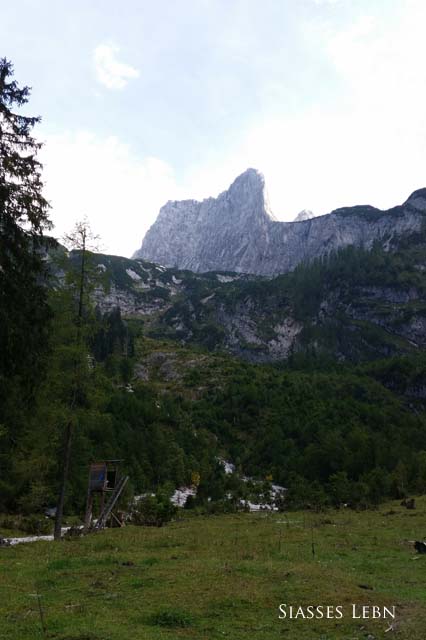 e0088895_2339471.jpg