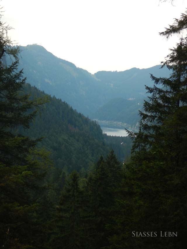 e0088895_23451449.jpg