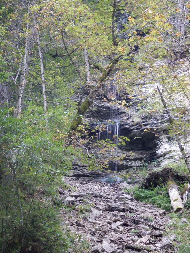 e0088895_23461924.jpg