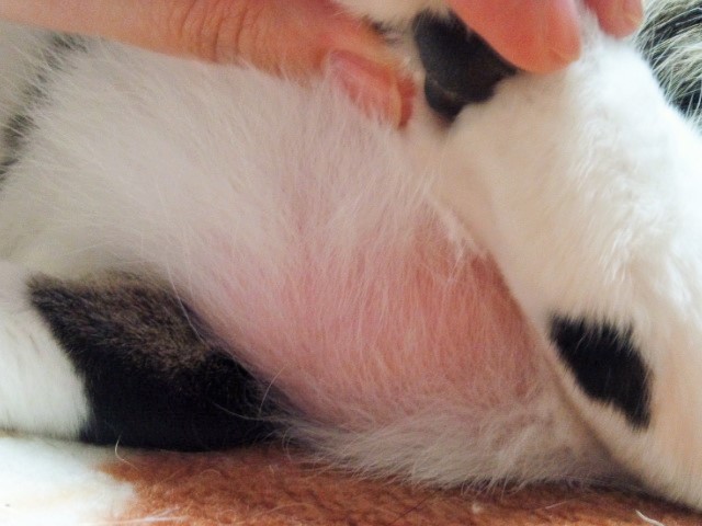 a0105396_01182076.jpg