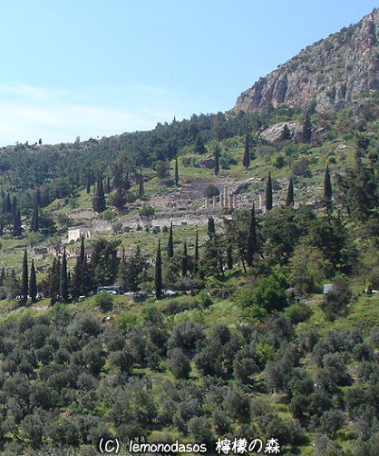c0010496_19101782.jpg