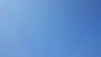 b0366199_16360041.jpg