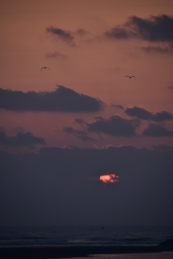 c0049299_22084654.jpg