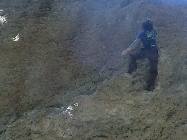 d0151699_2141541.jpg
