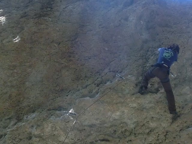 d0151699_2142974.jpg