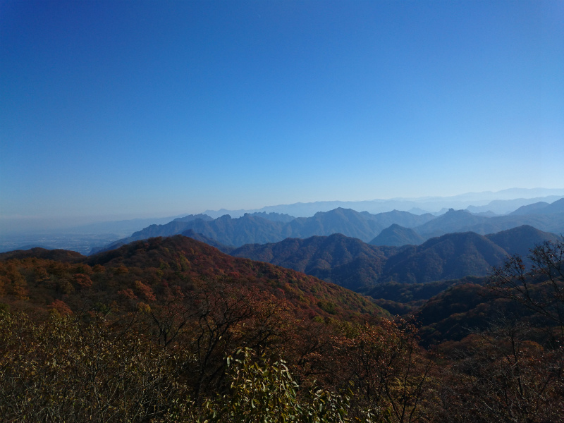 f0100911_22152377.jpg