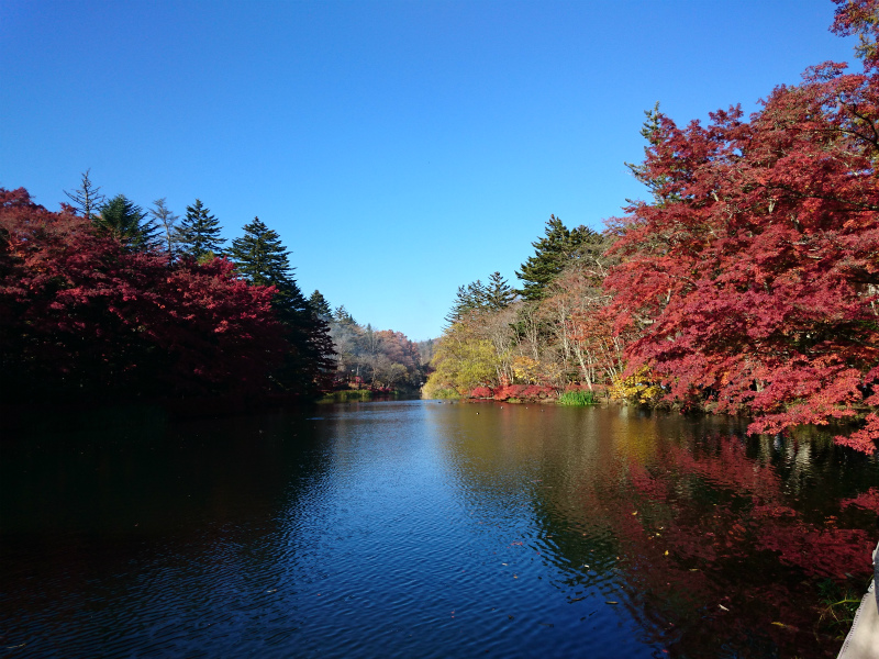 f0100911_22154624.jpg