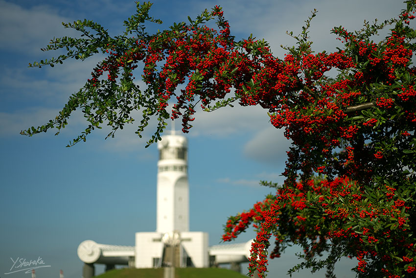 f0344614_032359.jpg