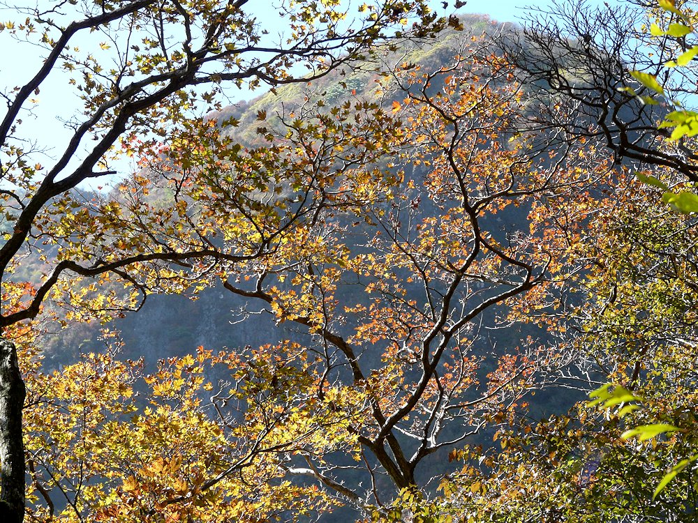 a0041615_14385346.jpg
