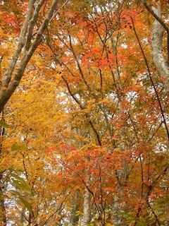 c0359615_21195700.jpg
