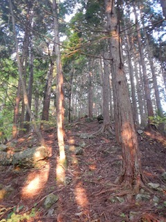 c0359615_21201813.jpg