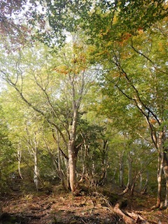 c0359615_21203694.jpg