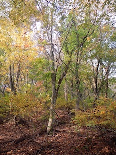 c0359615_21211593.jpg