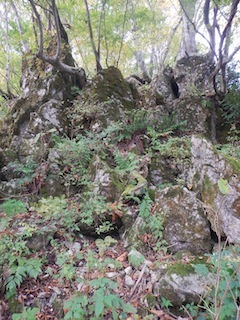 c0359615_21214365.jpg