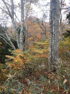 c0359615_21230413.jpg