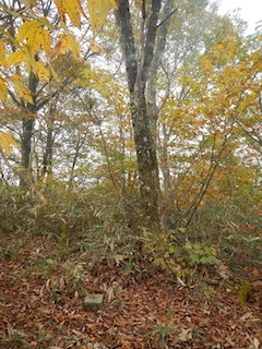 c0359615_21234810.jpg