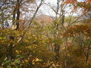 c0359615_21243383.jpg