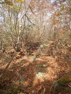 c0359615_21272940.jpg