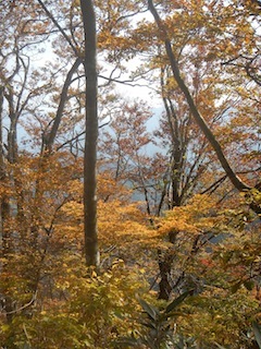 c0359615_21280729.jpg