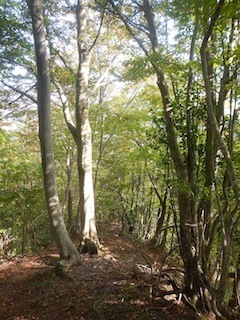 c0359615_21290998.jpg