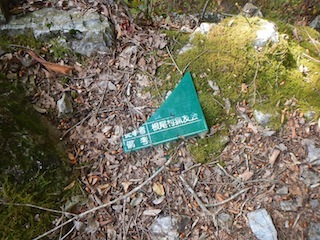 c0359615_21294268.jpg