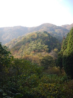 c0359615_21301585.jpg