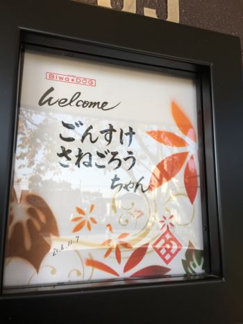 c0114121_136411.jpg