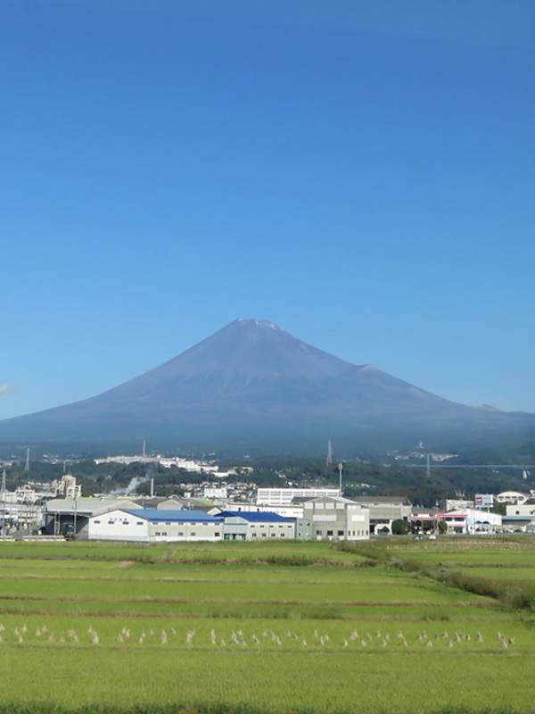 d0352628_1695145.jpg