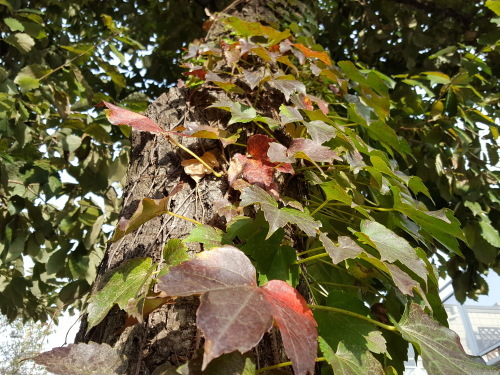 e0016828_09361633.jpg