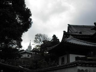 c0311729_20232866.jpg