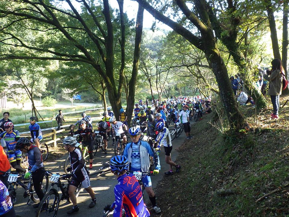 b0222530_1627153.jpg