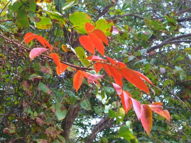 e0272335_16161071.jpg