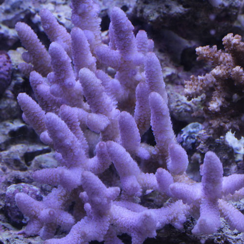 d0221436_22181160.jpg
