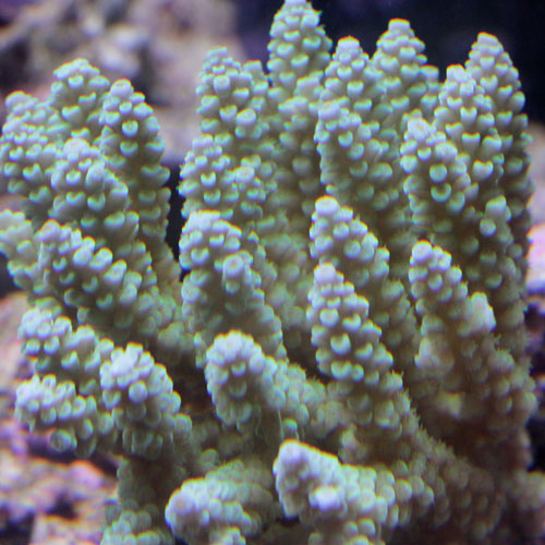 d0221436_22183634.jpg