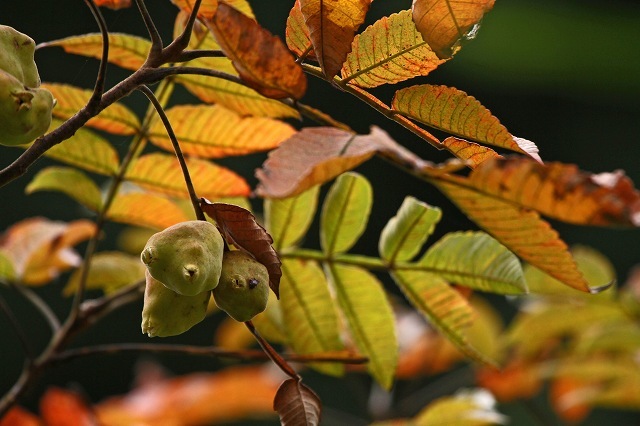a0242438_18373997.jpg