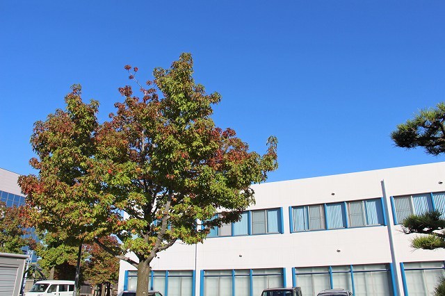 a0242438_18384966.jpg