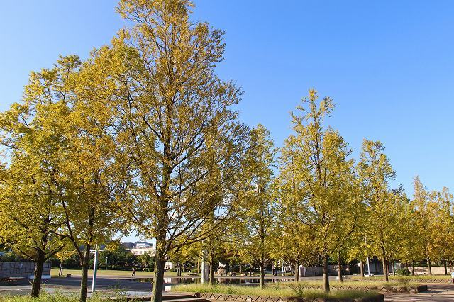 a0242438_18384988.jpg